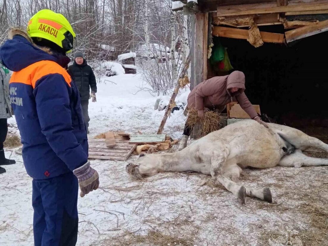 раст лошадь застряла фото 82